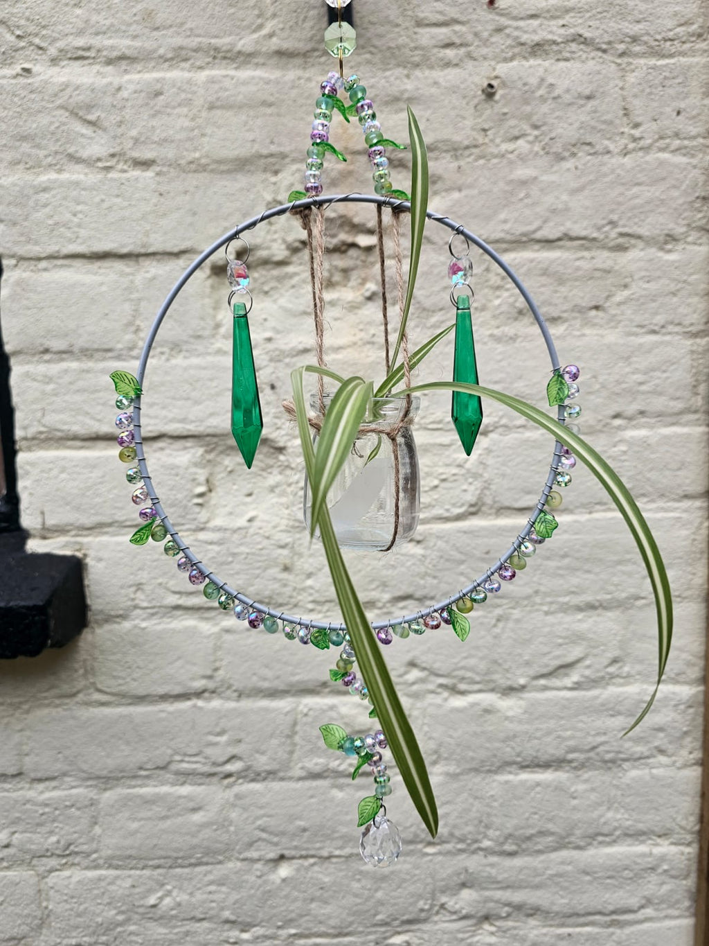 Emerald Shine Plant Catcher
