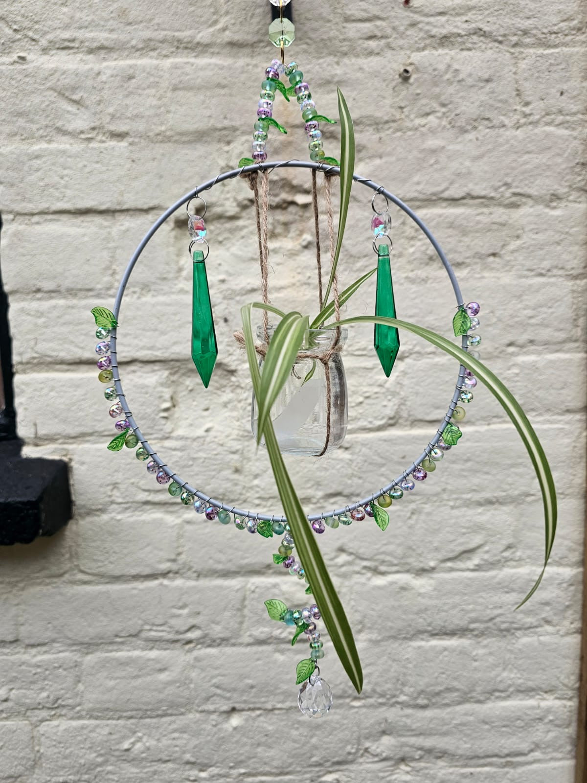 Emerald Shine Plant Catcher