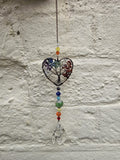 Rainbow Heart Roots