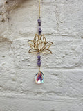 Sun Lotus Shine