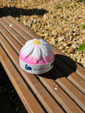 Wild Flower Bath Bomb