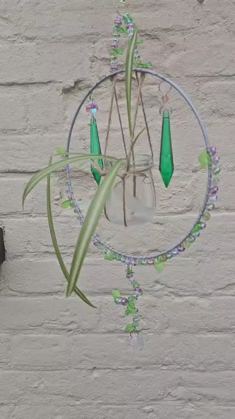 Emerald Shine Plant Catcher